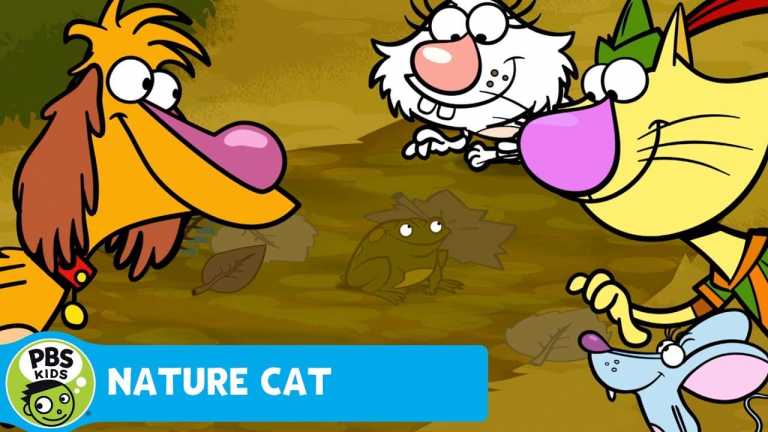 NATURE CAT | Cammo Whammo! | PBS KIDS