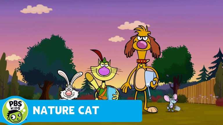 NATURE CAT | Go For A Walk | PBS KIDS