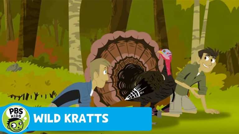 WILD KRATTS | Activate Turkey Power! | PBS KIDS