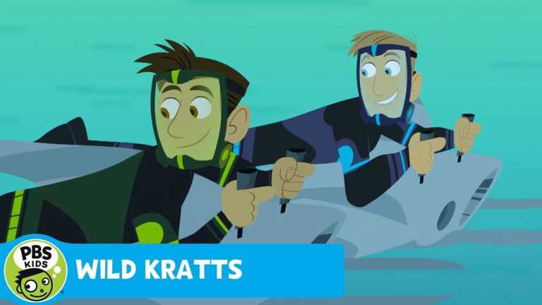 WILD KRATTS | Swordfish Challenge | PBS KIDS