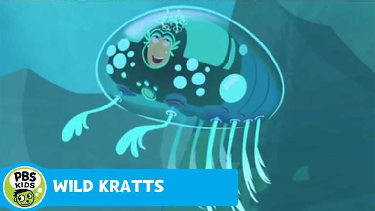 WILD KRATTS | Martin Becomes a Barnacle | PBS KIDS