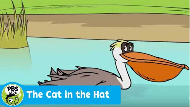 THE CAT IN THE HAT KNOWS A LOT ABOUT THAT | Penny the Pelican | PBS KIDS