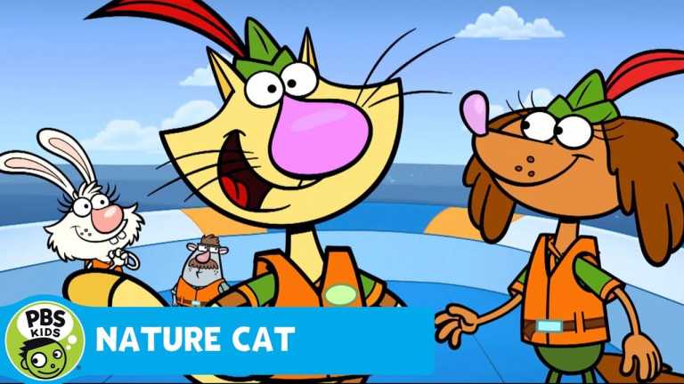 NATURE CAT | The Motion of The Ocean! | PBS KIDS