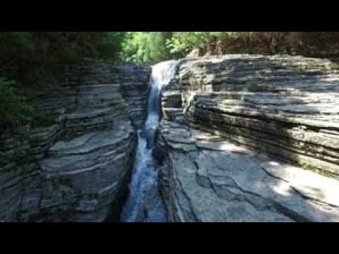 Whitaker Falls | Park It! Explore the Outdoors | WPBS Short Flix