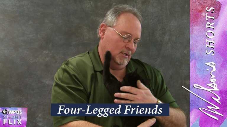 Four-Legged Friends | Wilson’s Shorts | WPBS Short Flix