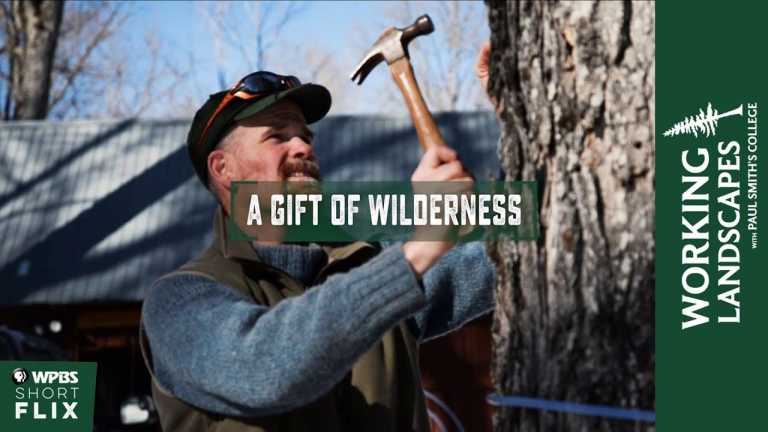 A Gift of WIlderness | Working Landscapes with Paul Smith’s College  | WPBS Short Flix