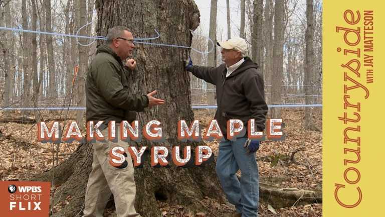 Making Maple Syrup | Countryside with Jay Matteson | WPBS Short Flix