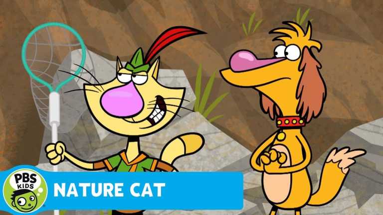 NATURE CAT | Follow That Chew Toy! | PBS KIDS