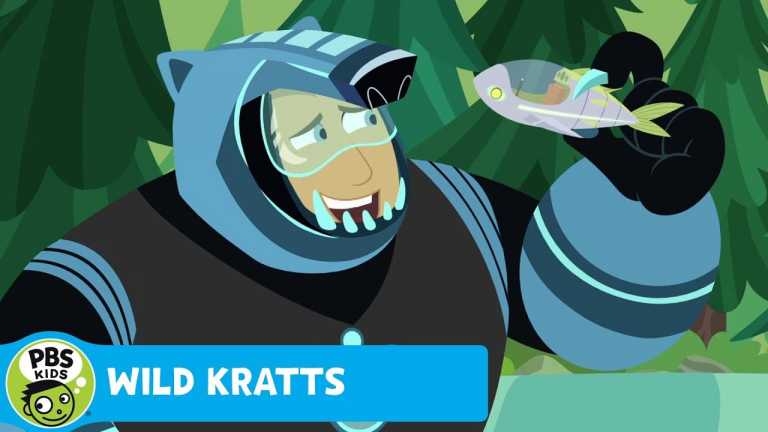 WILD KRATTS | Who’s the Best Fisher Bear? | PBS KIDS