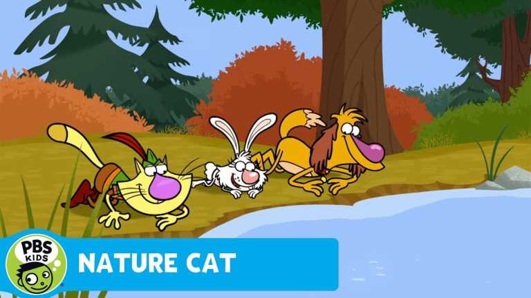 NATURE CAT | Stay Out All Day | PBS KIDS