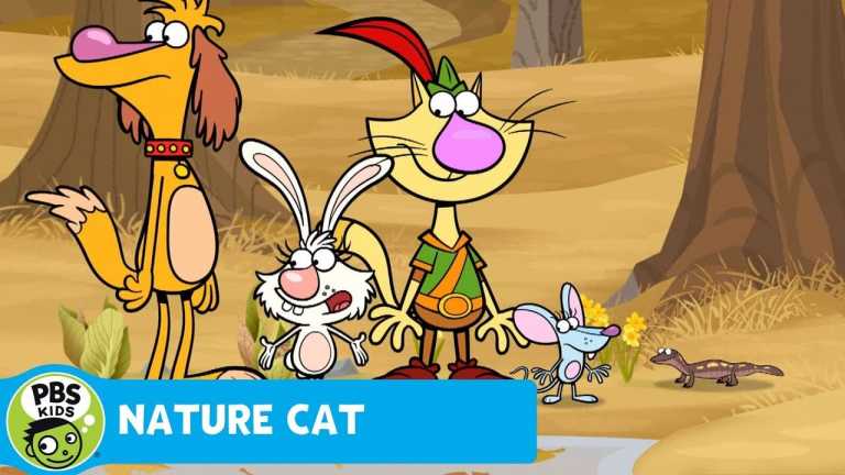 NATURE CAT | What’s a Vernal Pond? | PBS KIDS