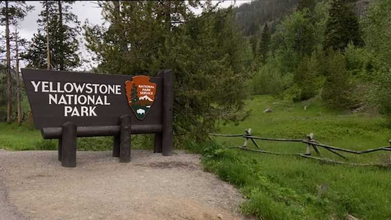 COVID-19’s effect on Yellowstone tourism