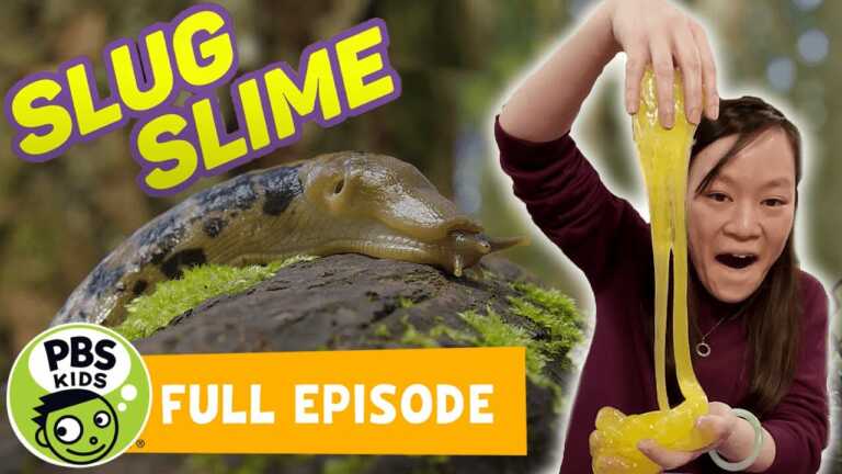 Mega Wow | How to Make Slug Slime! | PBS KIDS