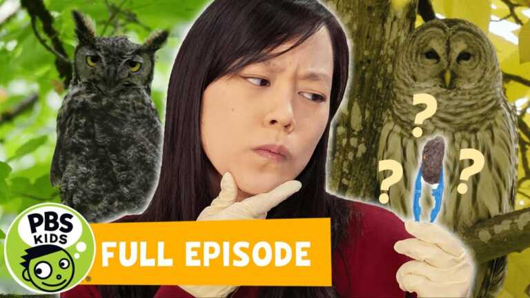 Mega Wow | What’s Inside Owl Pellets? | PBS KIDS