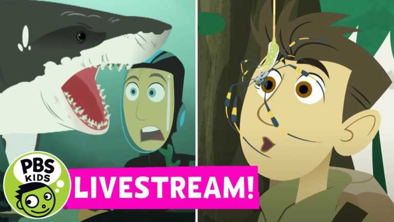 Wild Kratts LIVE | Spooky and Scary Creatures! 🦈🦇🕷️🦝 | PBS KIDS