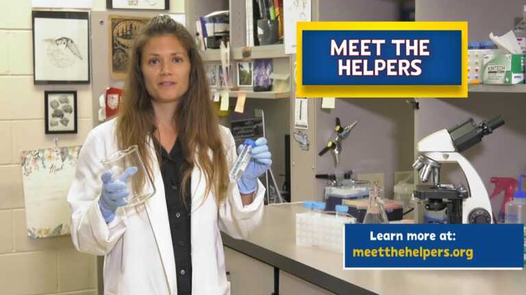 Meet the Helpers Teaches Children About Careers