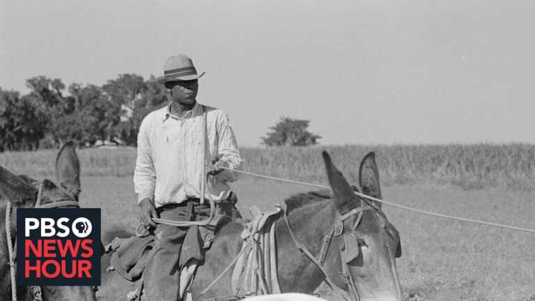 Historically denied ‘pivotal’ loans, Black farmers still struggle to get support