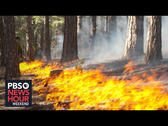 Communities are embracing ‘controlled burns’ to protect themselves