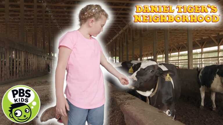 Daniel Tiger’s Neighborhood | Living on a Dairy Farm | PBS KIDS