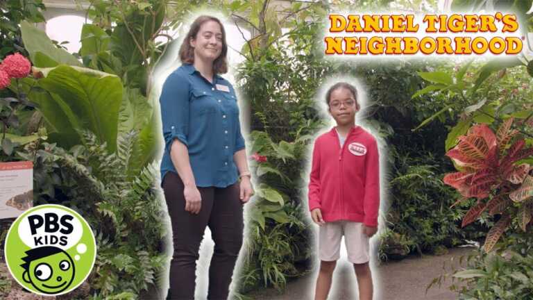 Daniel Tiger’s Neighborhood | Butterflies in the Garden | PBS KIDS