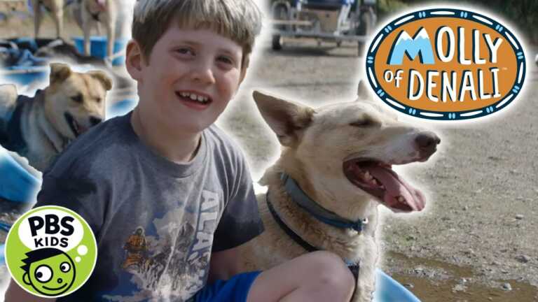 Molly of Denali | Summer Dog Sledding | PBS KIDS
