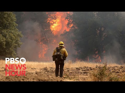 Firefighters work to slow wildfire near Yosemite #shorts