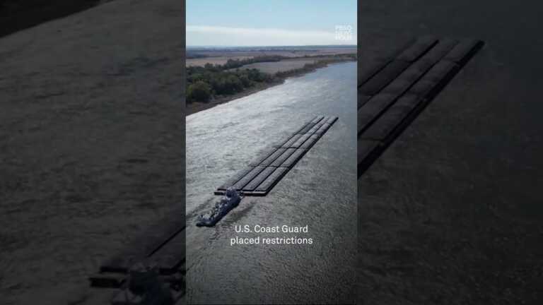 Mississippi River faces record low water levels #shorts